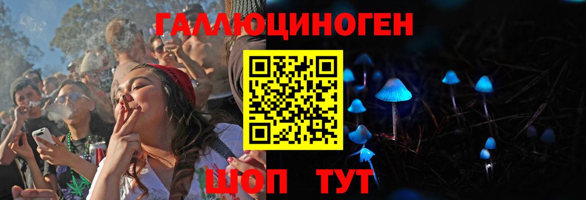 Сорочинск  Псилоцибиновые грибы прущие грибы  Вход с VPN 